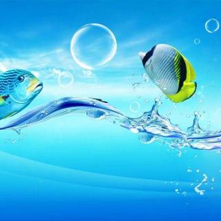 Tropical fish wallpaper