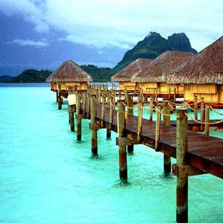 Tropical desktop wallpaper