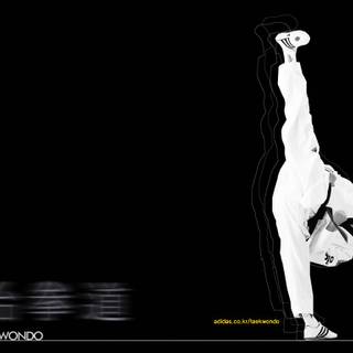 Taekwondo wallpaper
