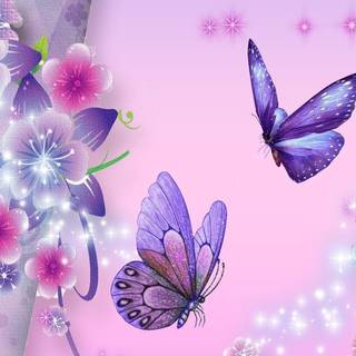 Pretty butterfly backgrounds