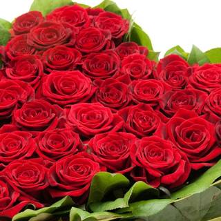 Images flowers roses