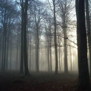 Slenderman wallpaper