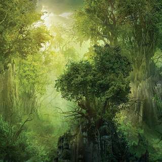 Fantasy forest wallpaper