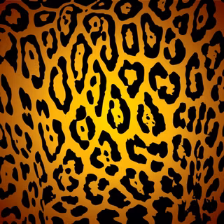 Pictures of cheetah print wallpaper