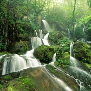 Free wallpaper for desktop background