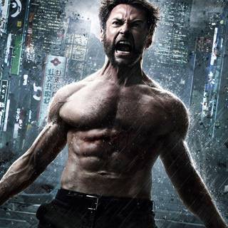 The wolverine 2015 wallpaper