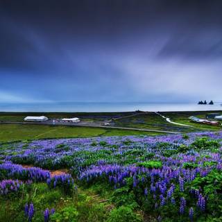 Beautiful nature wallpaper