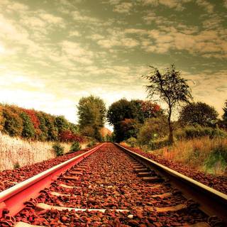 HD wallpaper backgrounds