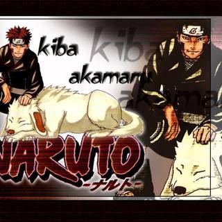 Kiba wallpaper