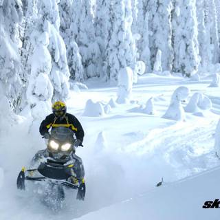 Ski-Doo wallpaper
