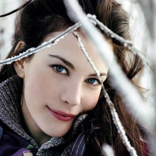 Liv Tyler wallpaper