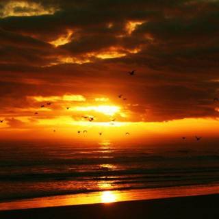 Summer sunset wallpaper