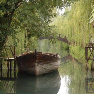 Wallpaper for desktops free