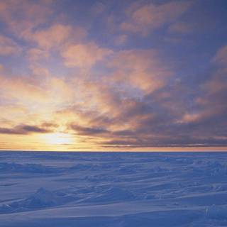 Antarctica wallpaper