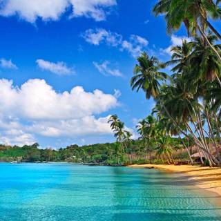 Tropical beach wallpaper