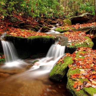 Nature 3D wallpaper