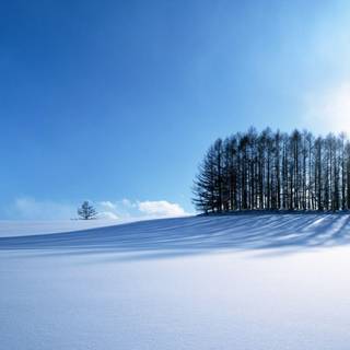 Snowy desktop backgrounds