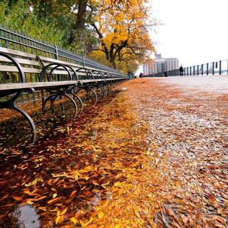 New HD wallpaper 1920x1080