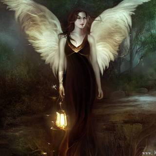 Free angel pictures to download
