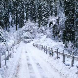 Snow falling background