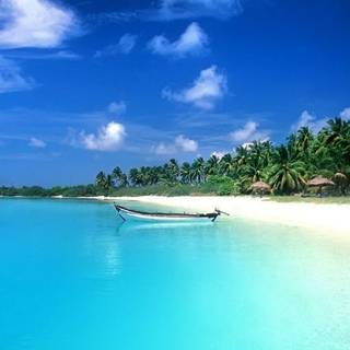 Best wallpaper for desktop background