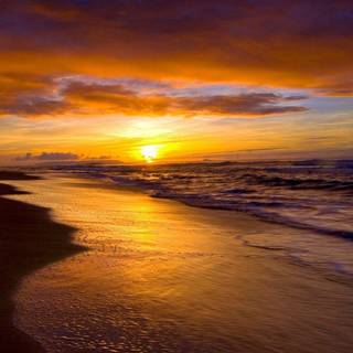 Sunset beach background