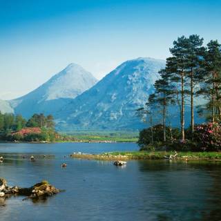 Free desk top backgrounds