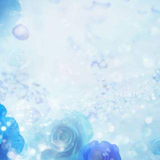 Blue roses background