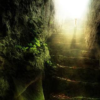 Awesome nature backgrounds