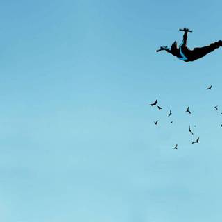 Nightwing wallpaper