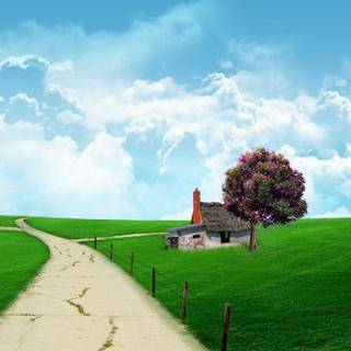 Spring season wallpaper