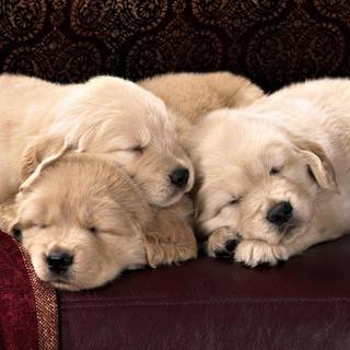 HD backgrounds for laptops