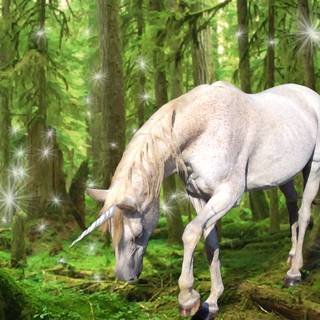 Image of unicorn