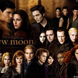 Twilight Saga New Moon wallpaper