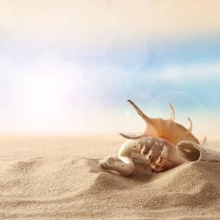 Sand beach wallpaper