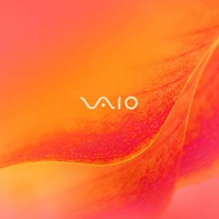 Sony Vaio wallpaper
