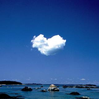 Nature love wallpaper