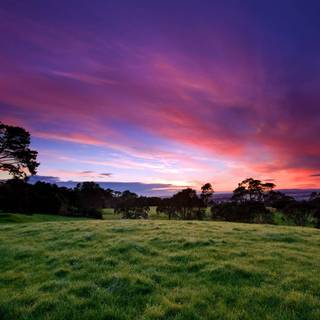 HD pictures of nature