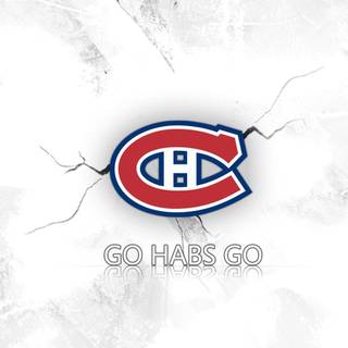 Habs background