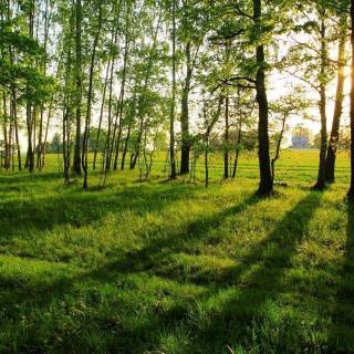 Summer desktop backgrounds wallpaper