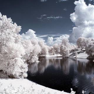 Winter landscape wallpaper
