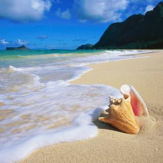 Beach images for backgrounds