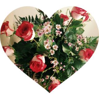 Red rose flowers images