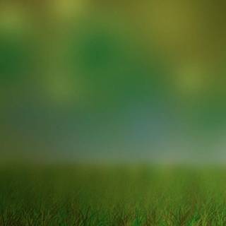 Cat background pictures