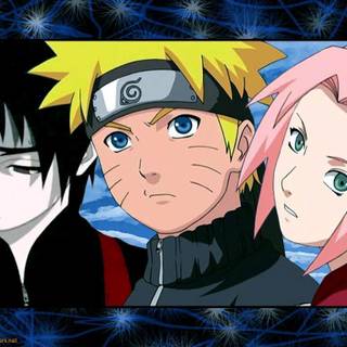 Sakura Shippuden wallpaper