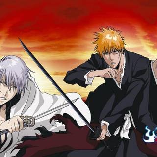 Pictures of bleach anime