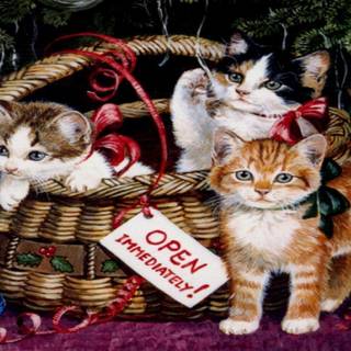 Free christmas wallpaper downloads computer