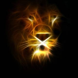Lion pictures wallpaper