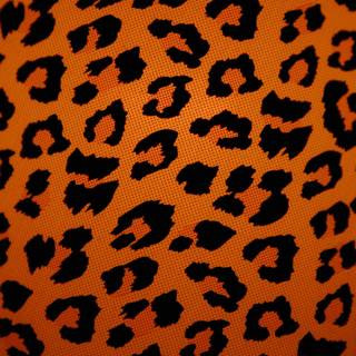 Animal print desktop backgrounds