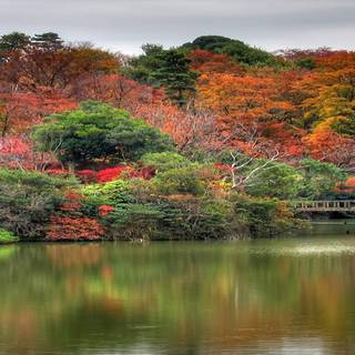 Autumn screen wallpaper